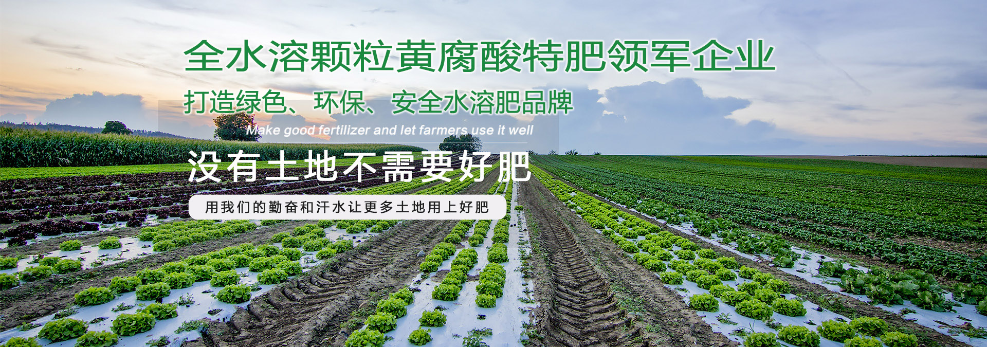 水溶肥廠(chǎng)家